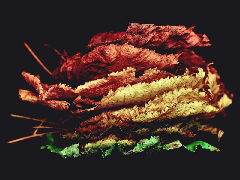 1984<br>kclfxfu.cn 老大哥在看着你